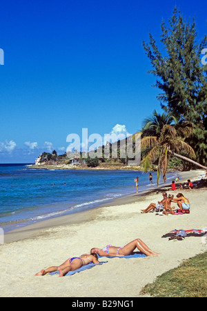 La canna da zucchero Bay Beach St Croix Isole Vergini Americane Caraibi Foto Stock