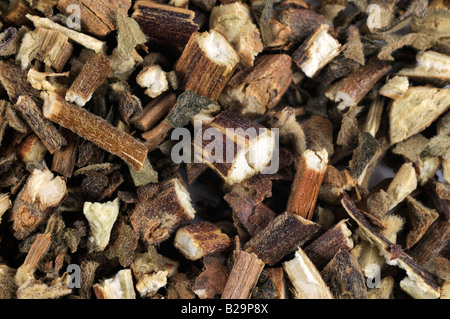 Cablin Patchouli Herb / Guang Huo Xiang Foto Stock