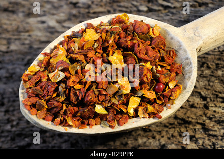 Cape Jasmine frutta / Zhi Zi Foto Stock