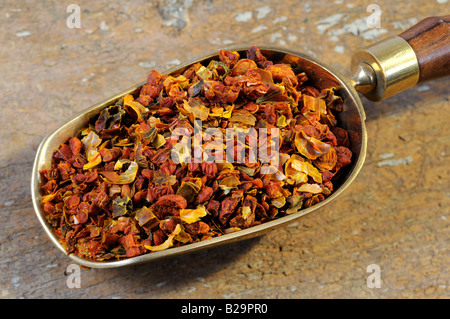 Cape Jasmine frutta / Zhi Zi Foto Stock