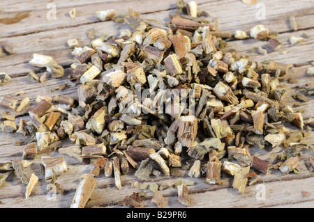 Cablin Patchouli Herb / Guang Huo Xiang Foto Stock