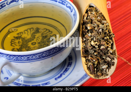 Cablin Patchouli Herb / Guang Huo Xiang Foto Stock