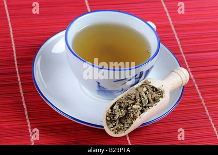 Cablin Patchouli Herb / Guang Huo Xiang Foto Stock