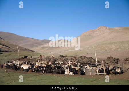 Via della seta del Kirghizistan di Tien Shan Montagne Turugart Pass campo nomadi Foto Stock