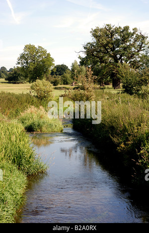 Freccia sul fiume nei pressi di Studley, Warwickshire, Inghilterra, Regno Unito Foto Stock