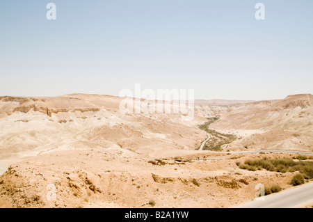 Israele Negev Kibbutz Sde Boker guardando fuori verso Ein Ovdat e il Wadi Zin valley Foto Stock