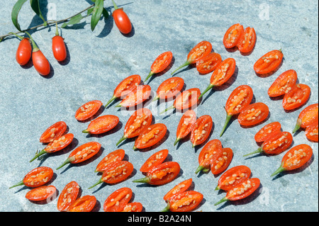 Fresche Bacche di Goji tagliata aperta. 19-lug-2008 Foto Stock