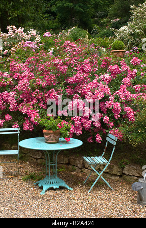 Tabella blu e rosa rose nel giardino dell'Hotel Baudy a Giverny Francia UE Foto Stock