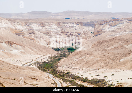 Israele Negev Kibbutz Sde Boker guardando fuori verso Ein Ovdat e il Wadi Zin valley Foto Stock