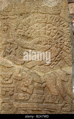 Originale stele di pietra nel Monte Alban Museum, vicino alla città di Oaxaca, Stato di Oaxaca, Messico Foto Stock