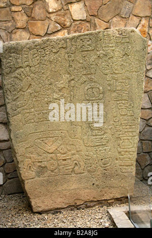 Originale stele di pietra nel Monte Alban Museum, vicino alla città di Oaxaca, Stato di Oaxaca, Messico Foto Stock