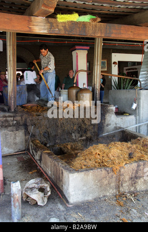 Mezcal Factory Nr Oaxaca, Messico. Distillando il liquore di greggio per rendere Mezcal. Foto Stock