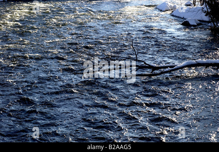 L'acqua che scorre verso il basso le banche inondate di un fiume. Foto Stock