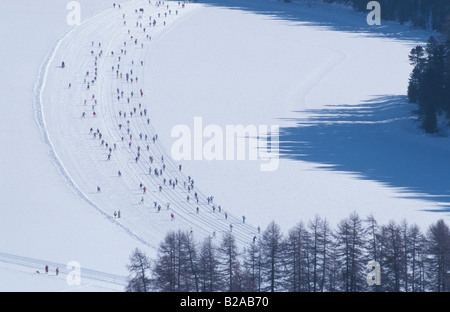 Gli sciatori a sci di fondo maratona vicino a Silvaplana Grigioni Svizzera Foto Stock