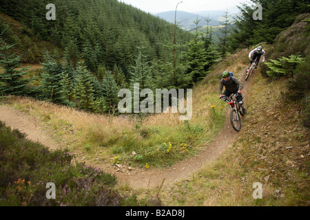 Gli amanti della mountain bike cavalcare un sentiero in quota al Glentress Trail Center in Scozia Foto Stock