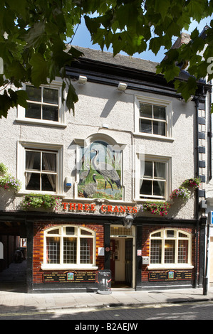 Tre gru public house estate YORK England Regno Unito Foto Stock