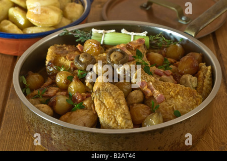 Coq au Vin Francia cibo Foto Stock