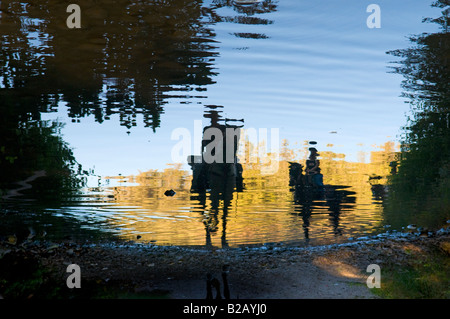 La riflessione di persone montato su cavallo nella pozza d'acqua, Ramat Menashe plateau settentrionale di Israele Foto Stock