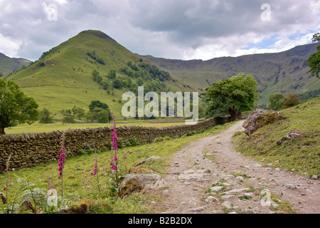 Alta Hartsop Dodd nel distretto del lago, Cumbria, Inghilterra. Foto Stock