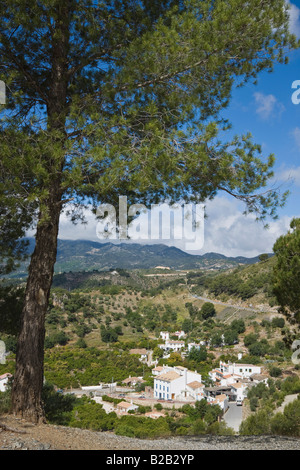 Jorox Provincia di Malaga Spagna Parque Natural Sierra de las Nieves Foto Stock