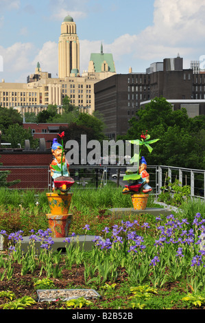 Giardino urbano sul tetto della Maison de la Culture Cote des Neiges Canada Quebec Montreal Foto Stock