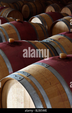 Oak botti da vino in una moderna cantina Alentejo Portogallo Foto Stock