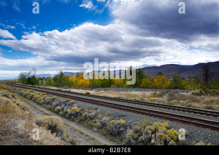 Canadian Pacific Railroad riga vicino Lago di Kamloops, " British Columbia " Canada Foto Stock