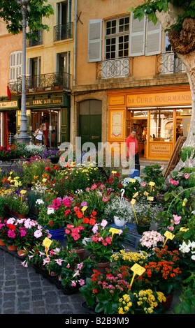 Display a fiore & Pianta mercato di Place de l' Hotel de Ville, Aix en Provence, Francia meridionale. Foto Stock