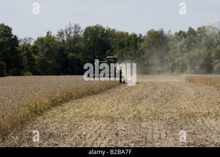 Mietitrebbia lavora sul campo Foto Stock