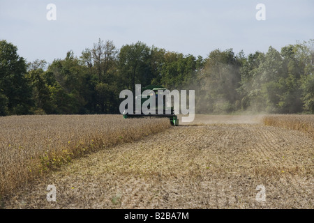 Mietitrebbia lavora sul campo Foto Stock