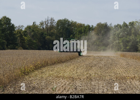 Mietitrebbia lavora sul campo Foto Stock