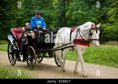 Visite turistiche in un carrello di Hackney nel parco danese Dyrehaven Foto Stock