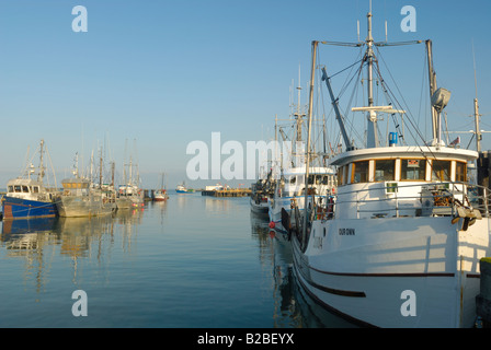 Commerciale barche da pesca ormeggiate nel porto di Stevenson, British Columbia. Foto Stock