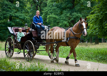 Visite turistiche in un carrello di Hackney nel parco danese Dyrehaven Foto Stock