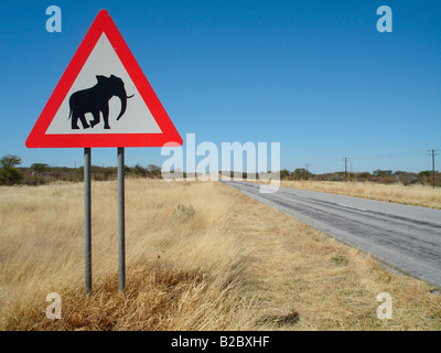 Cartello stradale, guardatevi di Elefanti Elefante crossing, nei pressi di Khorixas, Namibia, Africa Foto Stock