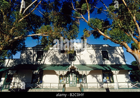 Casa in stile coloniale sotto alti alberi di eucalipto nella piccola cittadina rurale di Prince Albert, grande Karoo, Groot Swartberge Foto Stock