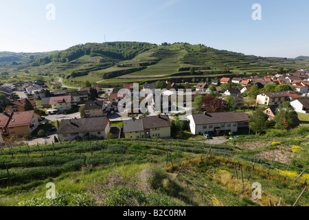 Paesaggio in Kaiserstuhl con una veduta dei vigneti in Oberbergen, Kaiserstuhl, Baden-Wuerttemberg, Germania, Europa Foto Stock