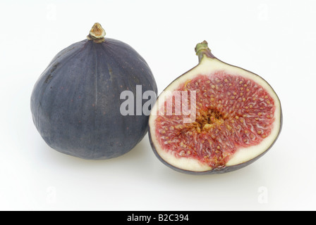 Comune fig (Ficus carica), frutta Foto Stock