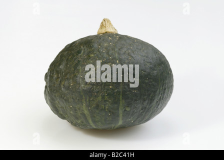 Green Cucurbita (Cucurbita spec.), frutta Foto Stock