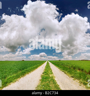 Via nel mezzo di orzo e di campi di grano con un cielo nuvoloso Foto Stock