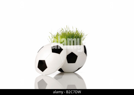 Metà di un pallone da calcio con un originale campo da calcio in erba da Coppa del Mondo Foto Stock