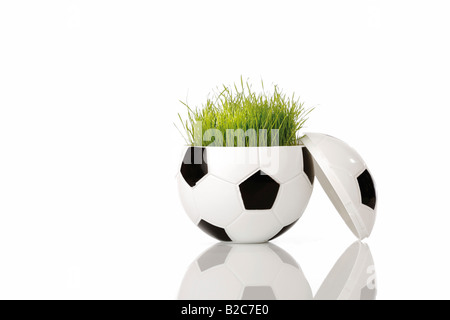 Metà di un pallone da calcio con un originale campo da calcio in erba da Coppa del Mondo Foto Stock