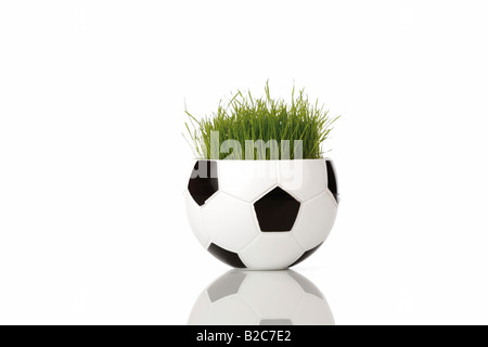 Metà di un pallone da calcio con un originale campo da calcio in erba da Coppa del Mondo Foto Stock