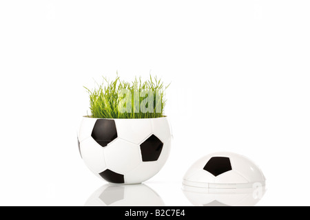 Metà di un pallone da calcio con un originale campo da calcio in erba da Coppa del Mondo Foto Stock