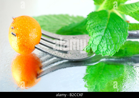 Fresche, refrigerate kumquat con menta su un sfondo riflettente con una profondità di campo ridotta Foto Stock