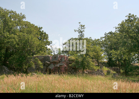 Affioramento di quarzite Pipestone National Monument Foto Stock