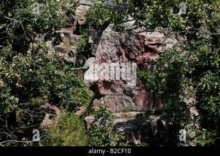 La Oracle faccia nativa in rock Pipestone National Monument Foto Stock