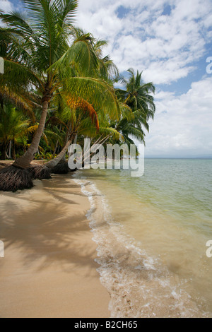 Bocas del Drago Beach in Bocas del Toro, Panama Foto Stock