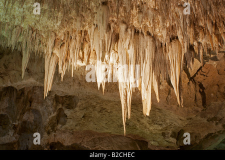 Il 'lampadario' la formazione di stalattiti nella grande sala di Carlsbad Caverns Foto Stock