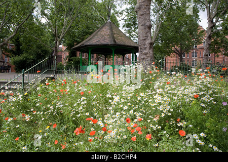 Bandstand e fiori di primavera. Arnold Circus, Boundary station wagon, Tower Hamlets, Londra, Inghilterra Foto Stock